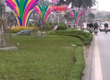 Trang trí đường phố